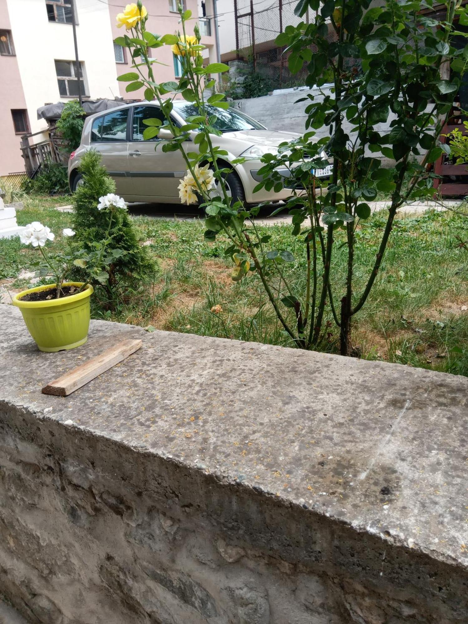 Rzav Panzió Višegrad Szoba fotó
